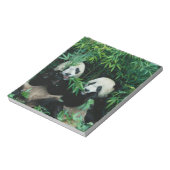 Bloc-note Deux pandas mangeant du bambou ensemble, Wolong (Tourné)