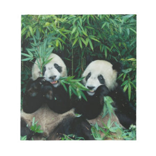 Bloc-note Deux pandas mangeant du bambou ensemble, Wolong