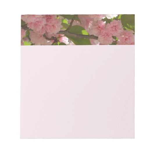 Bloc-note Double floraison cerisier III printemps fleuri (Devant)