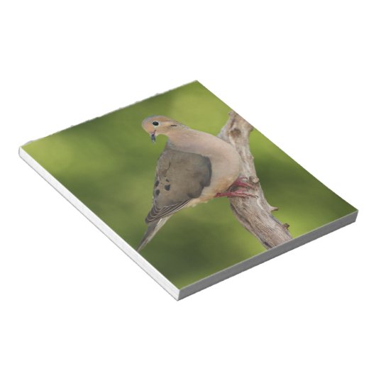 Bloc-note Dove de deuil, Zenaida macroura (Incliné)