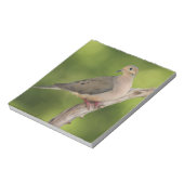 Bloc-note Dove de deuil, Zenaida macroura (Tourné)