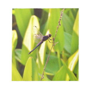 Bloc-note Dragonfly Blue et noir sur l'herbe.