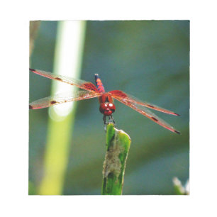 Bloc-note Dragonfly frontale rouge et noire