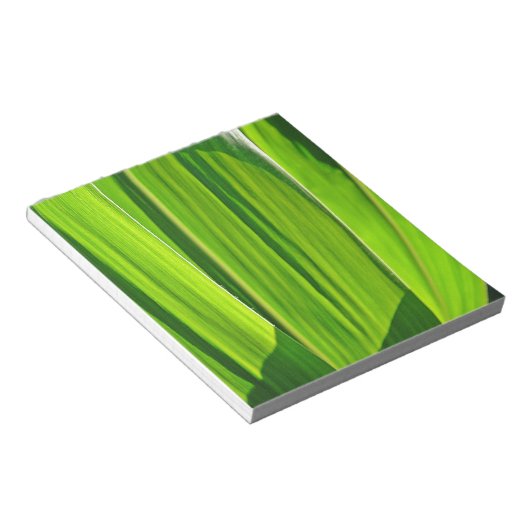 Bloc-note Drei grüne Maisblätter (Incliné)