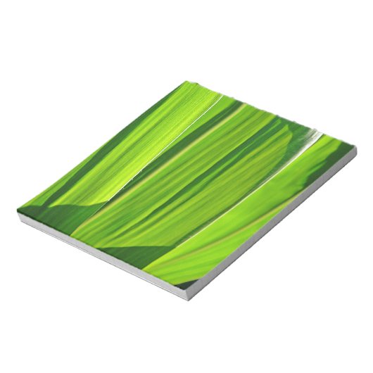 Bloc-note Drei grüne Maisblätter (Tourné)