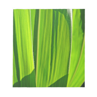 Bloc-note Drei grüne Maisblätter