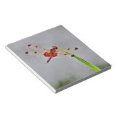 BLOC-NOTE DSC00029.JPG (Incliné)