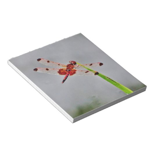 BLOC-NOTE DSC00029.JPG (Incliné)