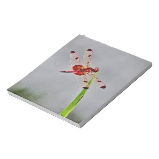 BLOC-NOTE DSC00029.JPG (Tourné)