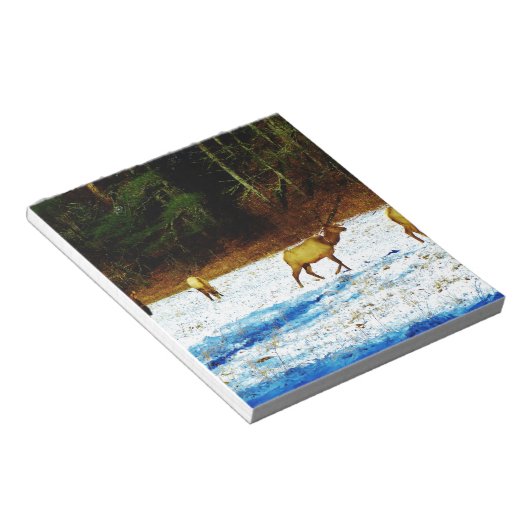 BLOC-NOTE DSC00131.JPG (Incliné)