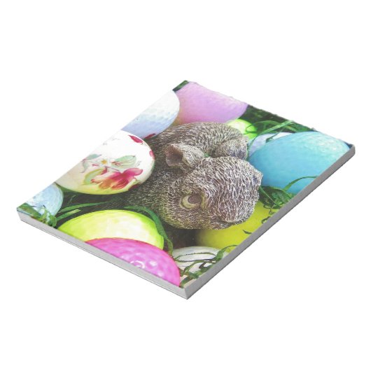 BLOC-NOTE DSCF0438.JPG (Tourné)