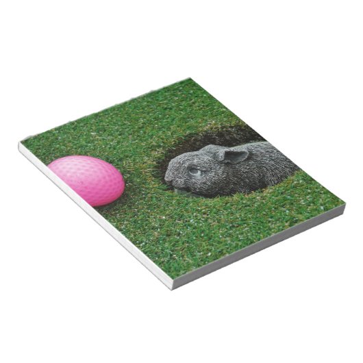 BLOC-NOTE DSCF0652.JPG (Incliné)