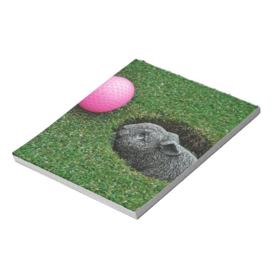 BLOC-NOTE DSCF0652.JPG (Tourné)