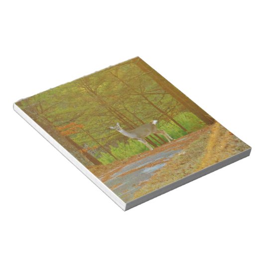 BLOC-NOTE DSCF4041.JPG (Incliné)