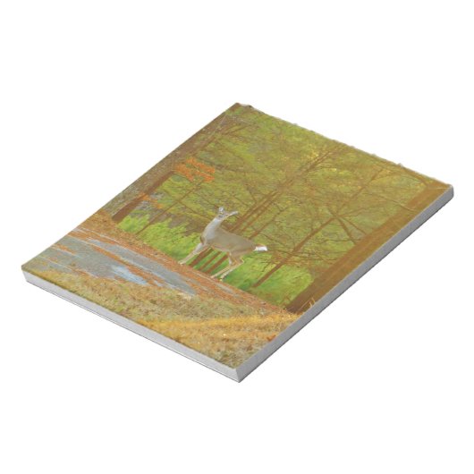 BLOC-NOTE DSCF4041.JPG (Tourné)