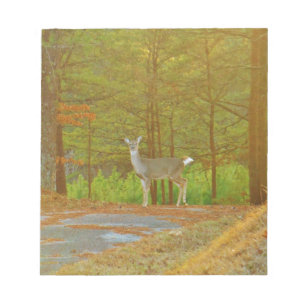 BLOC-NOTE DSCF4041.JPG