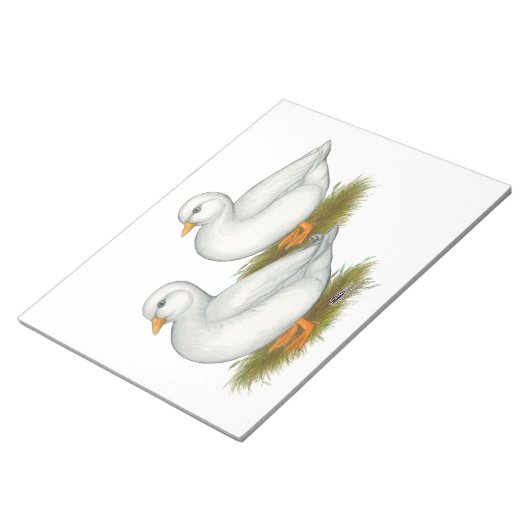 Bloc-note Ducks : White Calls (Incliné)