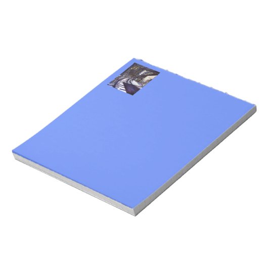 Bloc-note Dusting the Piano (Tourné)