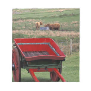 Bloc-note Écosse, île de Skye, Kilmuir. Animaux de ferme