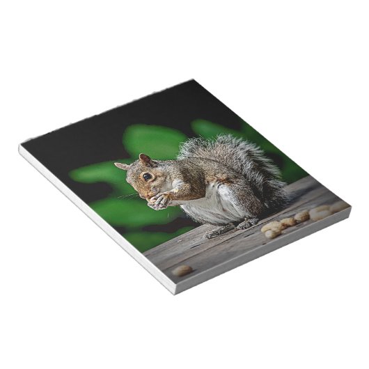 Bloc-note Écureuil aux cacahuètes (Incliné)