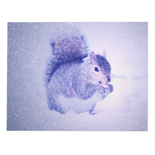 Bloc-note Écureuil dans la neige (Devant)