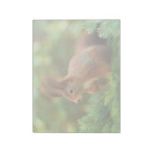 Bloc-note Écureuil sur un arbre (Tourné)