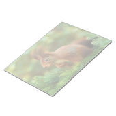 Bloc-note Écureuil sur un arbre (Incliné)