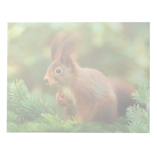 Bloc-note Écureuil sur un arbre (Devant)