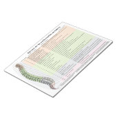 Bloc-note Effets espagnols de la subbluxe de la colonne vert (Incliné)