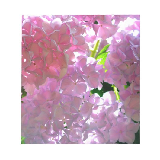 Bloc-note Élégant boho rose florales fleurs hydrangées (Devant)
