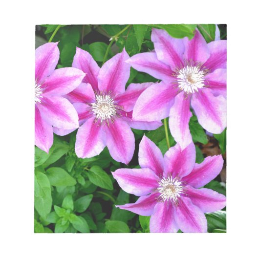 Bloc-note Élégant rose floral vert botanique (Devant)