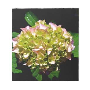 Bloc-note Elégant vert doux vert rose vert vert hydrangée