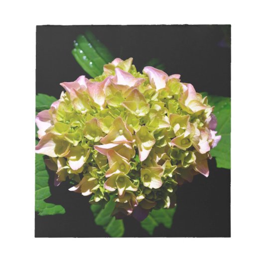 Bloc-note Elégant vert doux vert rose vert vert hydrangée (Devant)