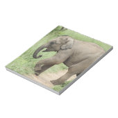 Bloc-note Éléphant bébé suivant sa mère, Corbett (Tourné)