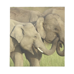 Bloc-note Éléphants d'Asie indiens
