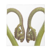 Bloc-note Épouses de fougères 2 (Devant)