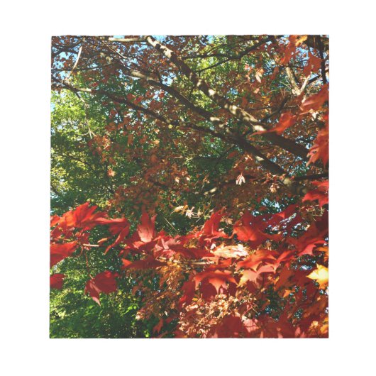 Bloc-note Érable japonais en automne (Devant)