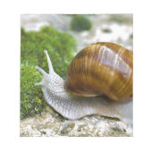 Bloc-note Escargot de Bourgogne (Devant)
