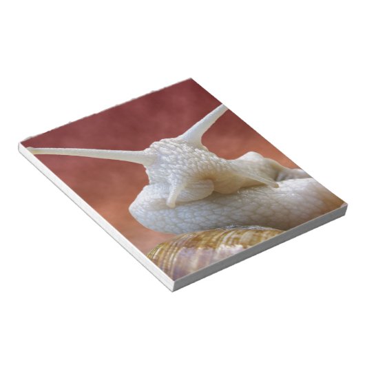 Bloc-note Escargot de Bourgogne (Incliné)