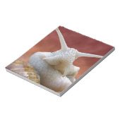 Bloc-note Escargot de Bourgogne (Tourné)