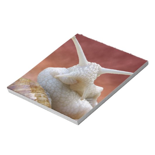 Bloc-note Escargot de Bourgogne (Tourné)