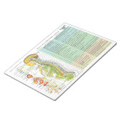 Bloc-note Espagnol ANS effets de subbluxation Tear Off Pad (Incliné)