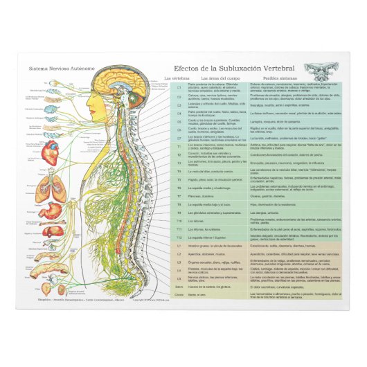 Bloc-note Espagnol ANS effets de subbluxation Tear Off Pad (Devant)