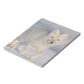 Bloc-note États-Unis, Alaska, 1002 Plaine côtière de l'ANWR. (Tourné)