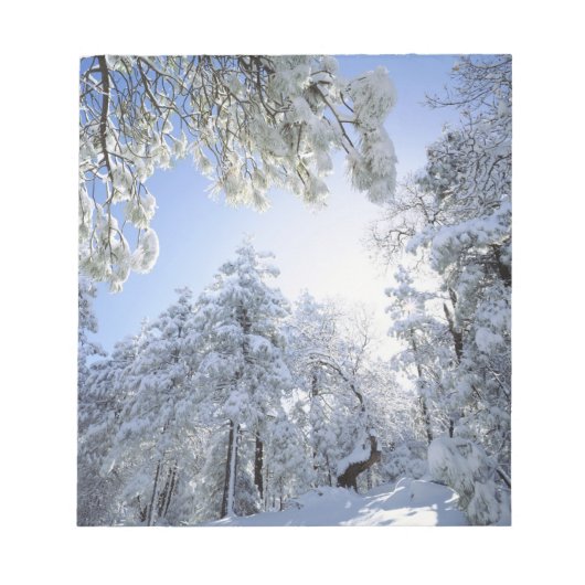 Bloc-note États-Unis, Californie, Cleveland National Forest, (Devant)