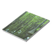 Bloc-note États-Unis, Floride, Forêt nationale d'Apalachicol (Tourné)