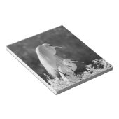 Bloc-note États-Unis, Floride, Great Egret (Ardea alba) infr (Incliné)