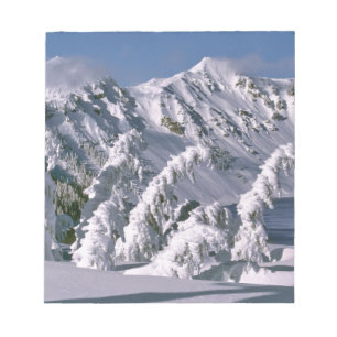 Bloc-note États-Unis, Oregon, Crater Lake NP. Les arbres plo