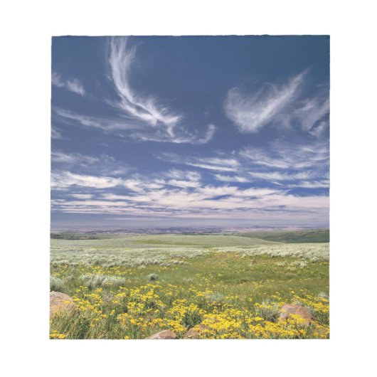 Bloc-note États-Unis, Oregon, Steens Mountain. Le printemps (Devant)