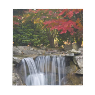 Bloc-note États-Unis, Redmond, Washington. Couleurs d'automn